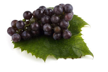 Wine variety, for red grape