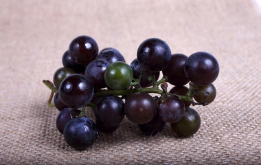 Black wine grape on bagging