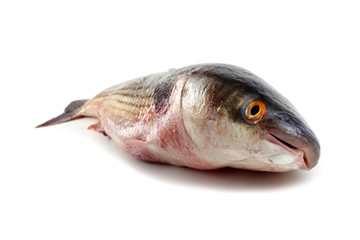 Pelengas (So-iny mullet)