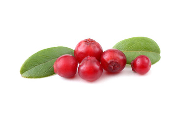 Cowberry