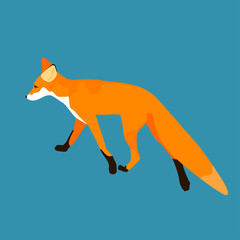 Abstract cutecartoon fox pattern.Simple fox portrait  for design birthday card, veterinarian clinic poster, pet shop sale advertising, bag print, book cover etc.