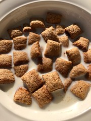 Delicious Breakfast cereals with chocolate and milk