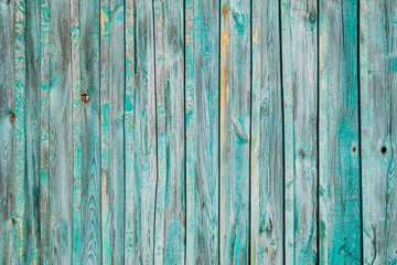 Fototapeta na wymiar Aged Natural Old Blue Color Obsolete Wooden Board Background. Grungy Vintage Wooden Surface. Painted Obsolete Weathered Texture Of Fence