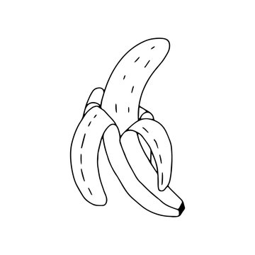 Banana half-peeled drawn outline.Fruit in the Doodle style .Black and white image.Banana isolated on a white background.Vector illustration.