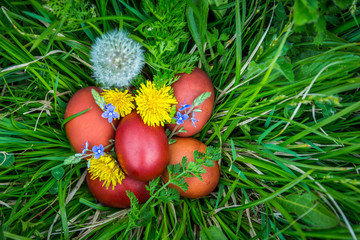 Red easter eggs on the grass with flowers and blowballs, naturally colored easter eggs with onion husks. Happy Easter, Christian religious holiday.