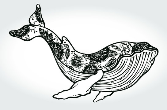 A drawn whale with flowers and leafs are on its body. Tattoo art, graphic, t-shirt design, postcard, poster design, coloring books,spirituality, occultism. Vector illustration.