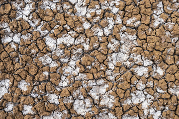 Dried soil with salt crystals