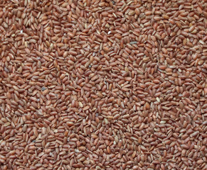 Red, wild unpolished rice.