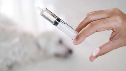 Syringe without needle in hand, Medicine equipment put liquid food for pet