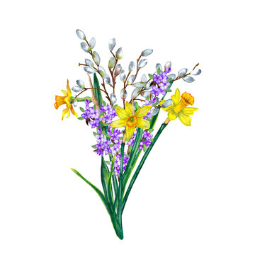 Floral bouquet of blooming fresh realistic spring flowers. Yellow narcissuses, lilac and willow branches. Festive spring decoration. Watercolor hand painted isolated elements on white background.