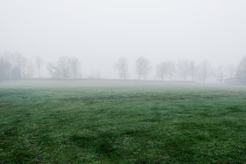 An empty green agricultural field in a strong morning fog. Forest in the background. Country...