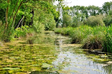 Beautiful landscape in the nature 