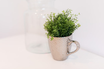 green plant in mug on the table