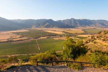 Fazendas de produção de vinhos em vales no Chile