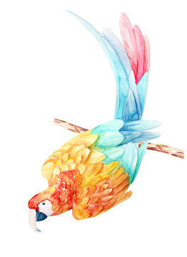 watercolor hand drawn illustration with bright colorful parrot on a branch isolated on white