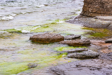 Limestone rocks at a rocky sea beach