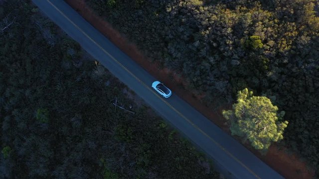 aerial view of car driving on beautiful countryside road at Mount Diablo in Bay Area, California