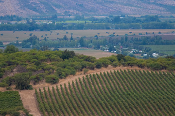 fazenda de vinícola na Cordilheira dos Andes no Chile