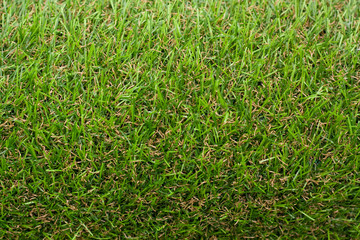 Background, green floor covering artificial grass