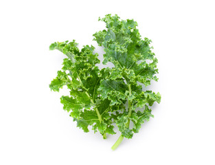 Obraz premium Kale cabbage vegetable leaf isolated on white background.