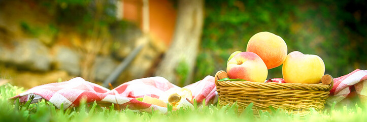 Summer background with ripe apricot