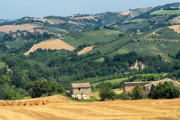 Fototapeta na wymiar Rural landscape near Monte Giberto, Marches, Italy