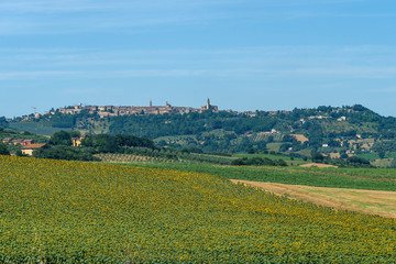 Fototapeta na wymiar Rural landscape near Treia, Marches