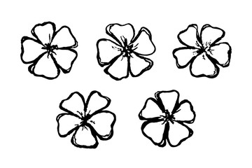 Fototapeta na wymiar Set flowers in doodle style for spring and summer design. Collection hand drawn flowers isolated on whit background. Flower icon painted for decoration cards. Decorative elements. Vector illustration