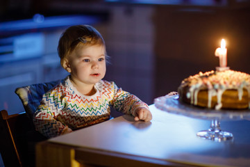 Cute beautiful little baby girl celebrating first birthday. Child blowing one candle on homemade baked cake, indoor. Birthday family party for lovely toddler child, beautiful daughter