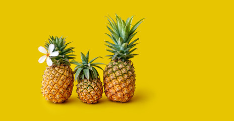 Three pineapples represent a family in on a yellow background. Space for text