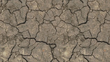 dry cracked earth