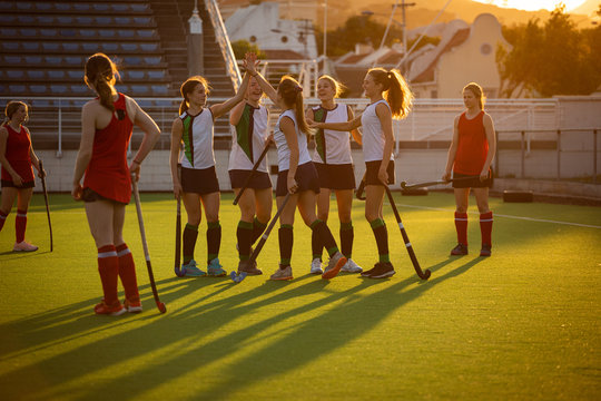 Hockey Players Giving High Five During Match