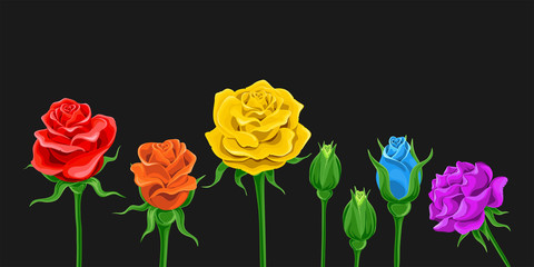 set of rainbow roses on black background. Vector illustration in pop art style, horizontal banner