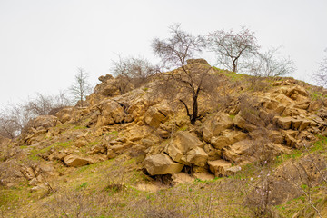 Hill with trees against a cloudy sky