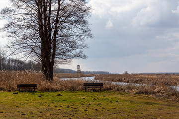 Rzeka Biebrza wiosną. Biebrzański Park Narodowy, Podlasie, Polska © podlaski49