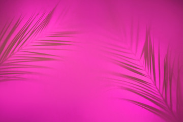 Abstract background of shadows palm leaves on pink backdrop in backlight. Creative concept.