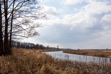 Rzeka Biebrza wiosną. Biebrzański Park Narodowy, Podlasie, Polska