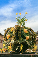 Easter shrub with yellow daffodils and ivy in the bowl outdoors. The bowl is decorated with moss and yellow felt butterflies.
