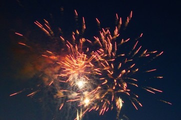 Fireworks display in the dark sky