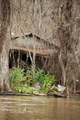 Swamp with a building