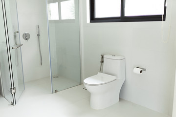 Naklejka na ściany i meble A stylish white toilet or washroom in a hotel or villa. Interior in the bathroom. Minimalist toilet with bidet and toilet paper.