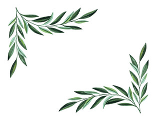 Obraz premium Watercolor illustration with olive branches frame border. Floral illustration for wedding stationary, greetings, wallpapers, fashion and invitations