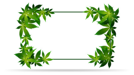 Frame of green cannabis leaves. Template frame decorated with cannabis leaves isolated on a white background