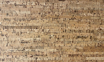 Natural wooden pith a texture a beige background