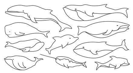 Sea whale vector outline set icon.Vector illustration marine animal of whale.Isolated outline icon of sea animal on white background.