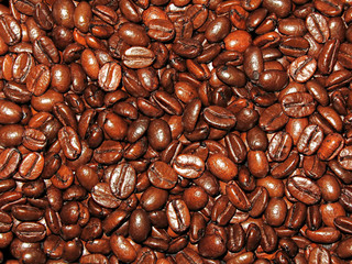 coffee beans background