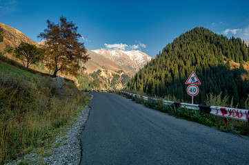 Fototapeta na wymiar mountain road and traffic signs