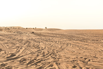 tracks in the desert of Dubai, united arab emirates
