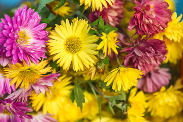 Obraz premium Bunch of yellow and purple chrysnathemums and daisies close up