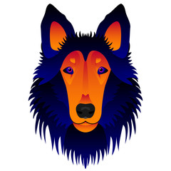 Naklejka premium Abstract collie dog head isolated on white. Graphic cartoon collie dog portrait painted in imaginary colors for design card, invitation, banner, book, scrapbook, t-shirt, poster etc.